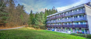 Apartmán na kraji lesa Všemina, Všemina